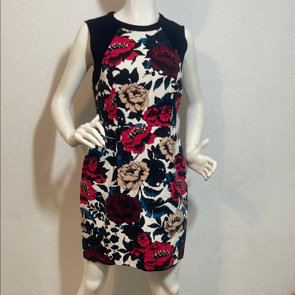 Adrianna papell size 12p Floral Sleeveless Dress - Black, Red, Blue